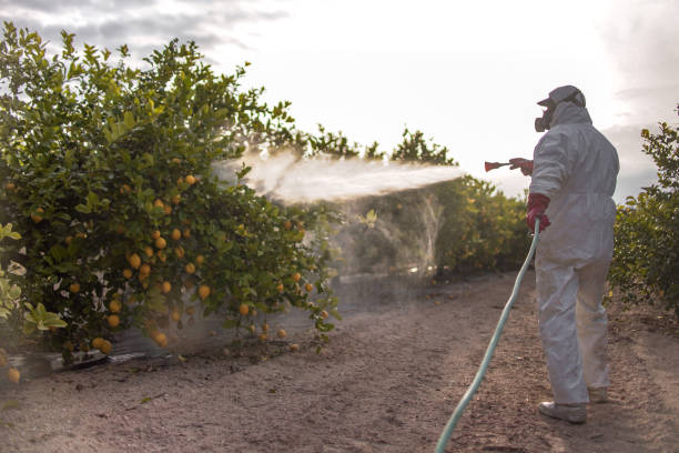 Pest Control for Restaurants and Food Service in Providence Village, TX